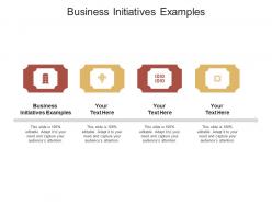 Business initiatives examples ppt powerpoint presentation styles images cpb