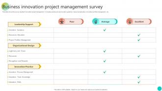 Business Innovation Project Management Survey