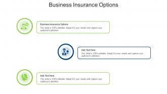 Business Insurance Options In Powerpoint And Google Slides Cpb