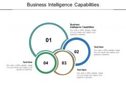 Business intelligence capabilities ppt powerpoint presentation portfolio example file cpb