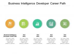 Business intelligence developer career path ppt powerpoint presentation summary slide portrait cpb