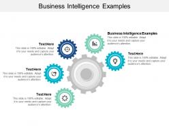 Business intelligence examples ppt powerpoint presentation styles demonstration cpb