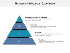 Business intelligence experience ppt powerpoint presentation outline ideas cpb