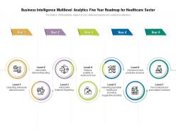 Business Intelligence Multilevel Analytics Five Year Roadmap For Healthcare Sector