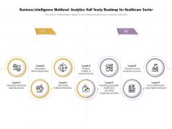 Business intelligence multilevel analytics half yearly roadmap for healthcare sector