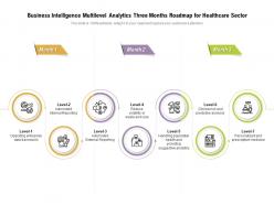 Business intelligence multilevel analytics three months roadmap for healthcare sector