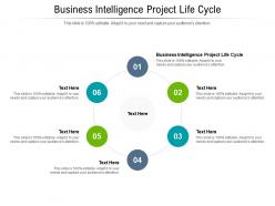 Business intelligence project life cycle ppt powerpoint presentation gallery skills cpb