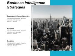 Business intelligence strategies ppt powerpoint presentation infographic template picture cpb