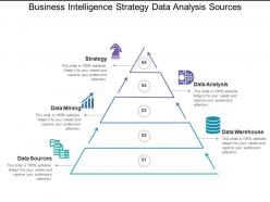 Business intelligence strategy data analysis sources