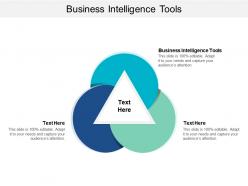 Business intelligence tools ppt powerpoint presentation infographic template layout cpb