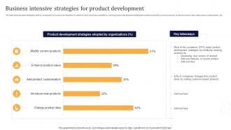 Business Intensive Strategies For Product Development