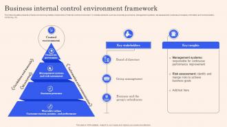 Business Internal Control Environment Framework