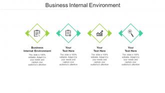 Business internal environment ppt powerpoint presentation show cpb