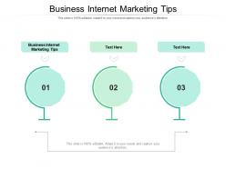 Business internet marketing tips ppt powerpoint presentation infographics guidelines cpb