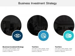 Business investment strategy ppt powerpoint presentation file infographics cpb