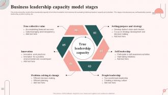 Business Leadership Capacity Model Stages