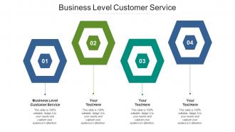 Business level customer service ppt powerpoint presentation summary clipart cpb
