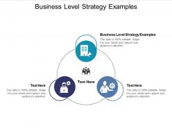 Business level strategy examples ppt powerpoint presentation outline slideshow cpb