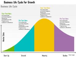 Business life cycle for growth flat powerpoint design