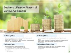 Business Lifecycle Automation Companies Financials Development Growth