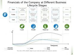 Business Lifecycle Automation Companies Financials Development Growth