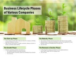 Business lifecycle phases of various companies