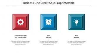 Business Line Credit Sole Proprietorship Ppt Powerpoint Presentation Outline Design Cpb