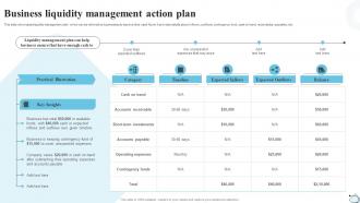 Business Liquidity Management Action Plan Strategic Financial Planning Strategy SS V