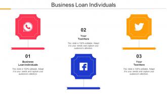 Business Loan Individuals Ppt Powerpoint Presentation Infographics Structure Cpb
