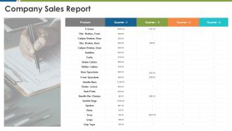 Business management company sales report ppt slides graphics download