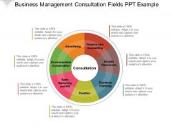 Business Management Consultation Fields Ppt Example