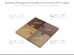 Business Management Equality And Diversity Ppt Images