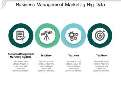 Business management marketing big data ppt powerpoint presentation slides summary cpb