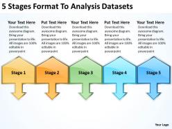 Business management structure diagram 5 stages format to analysis datasets powerpoint slides