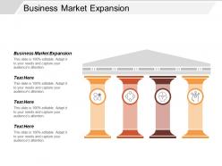 Business market expansion ppt powerpoint presentation file portfolio cpb