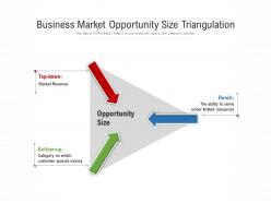 Business market opportunity size triangulation
