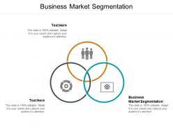 Business market segmentation ppt powerpoint presentation model sample cpb