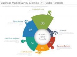 Business market survey example ppt slides template