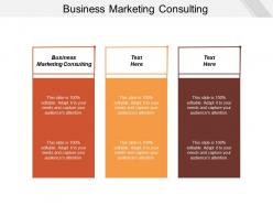 Business marketing consulting ppt powerpoint presentation gallery microsoft cpb