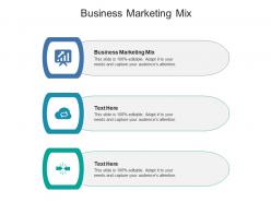 Business marketing mix ppt powerpoint presentation outline topics cpb