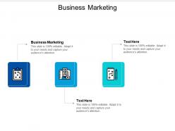 Business marketing ppt powerpoint presentation infographic template elements cpb