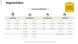 Business markets segmentation segmentation ppt template