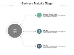 Business maturity stage ppt powerpoint presentation styles example cpb