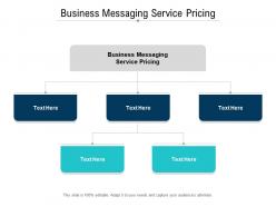 Business messaging service pricing ppt powerpoint presentation professional cpb