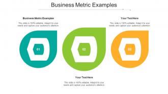 Business Metric Examples Ppt Powerpoint Presentation Gallery Summary Cpb