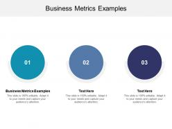 Business metrics examples ppt powerpoint presentation ideas designs cpb
