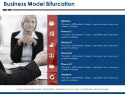 Business model bifurcation ppt examples slides