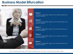 Business Model Bifurcation Presentation Pictures
