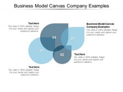 Business model canvas company examples ppt powerpoint presentation visual aids outline cpb