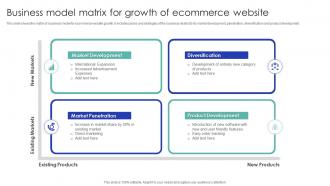 Business Model Matrix For Growth Of Ecommerce Website